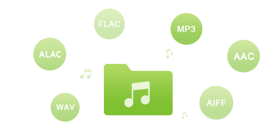 Choose to convert Deerzer as MP3/AAC/WAV/FLAC/AIFF/ALAC
