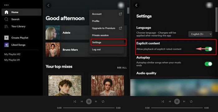 filter out spotify explicit songs on computers