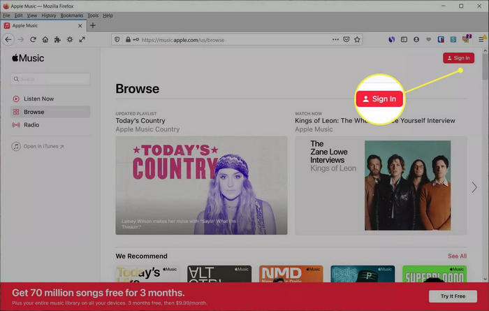 how to use apple music web player