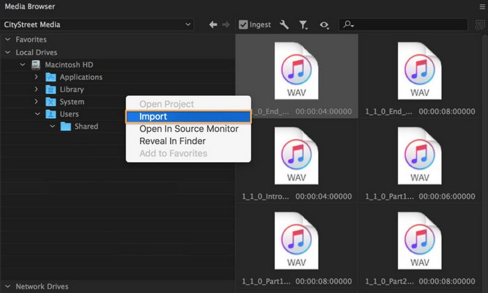 import downloaded Apple Music to Premiere Pro