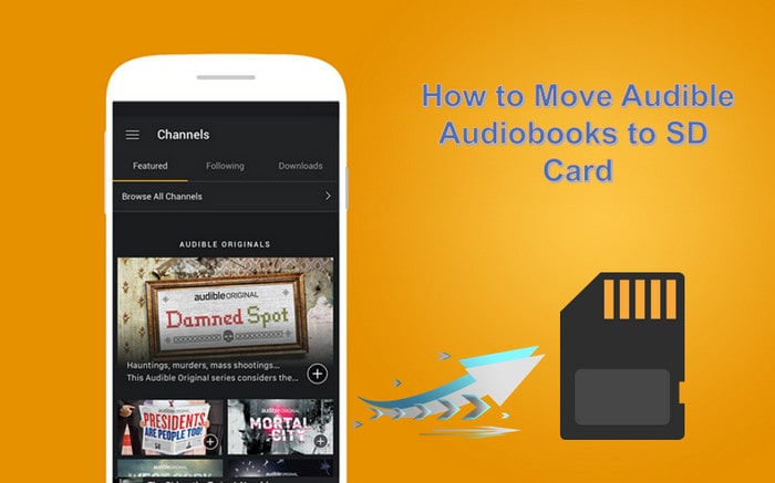 move audible audiobooks to SD card