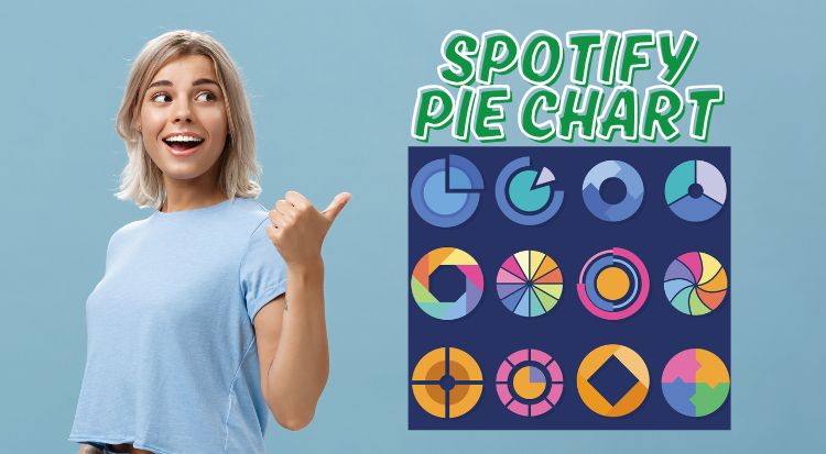 See Your Spotify Pie Chart