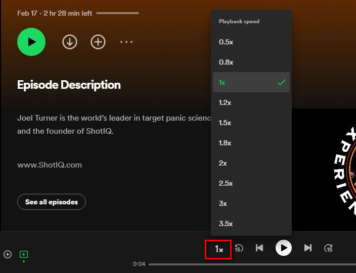 Spotify Playback Speed Desktop