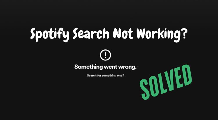 Spotify search not working