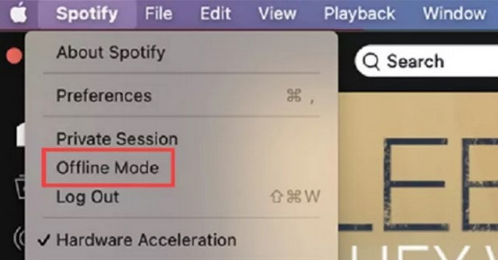 Spotify Offline Mode
