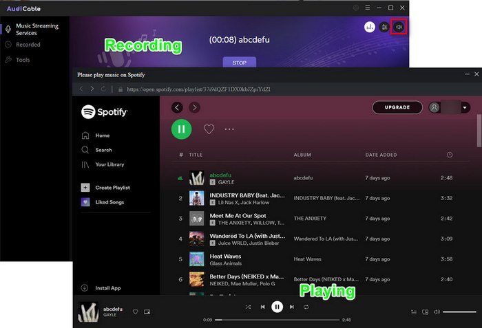 choose to play and record Spotify music