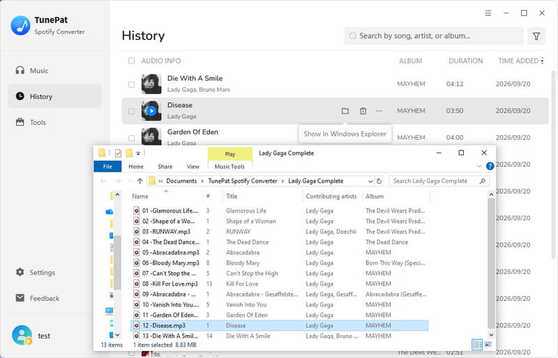 view the downloaded spotify music