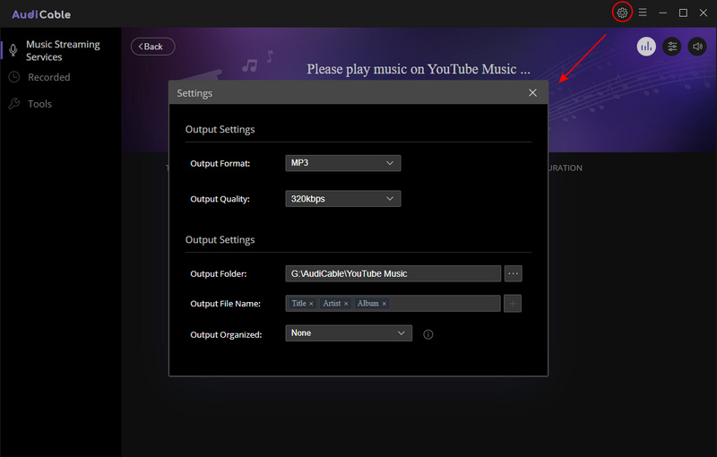 set the output format of youtube music